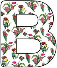 Tulpen-Buchstabe-B.jpg